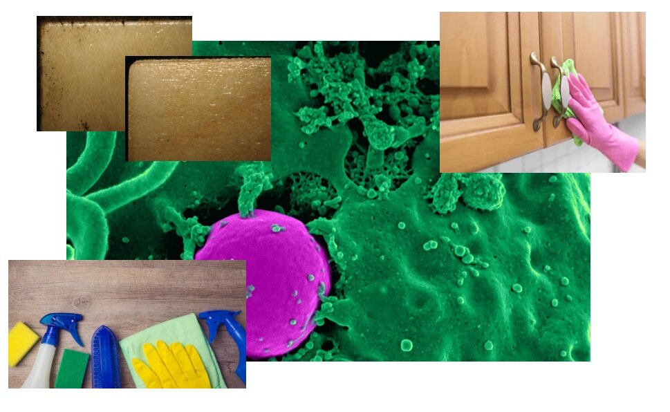 Antimicrobial Coatings